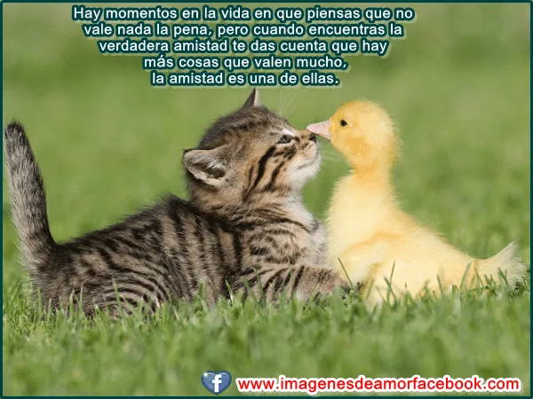 Imagenes De Pensamientos De Amistad | Miexsistir Imagenes De Pensamientos De Amistad | Miexsistir
