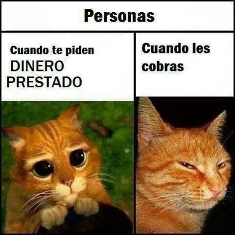 Imagenes para perfil de whatsapp con movimiento - Imagui Imagenes para perfil de whatsapp con movimiento - Imagui