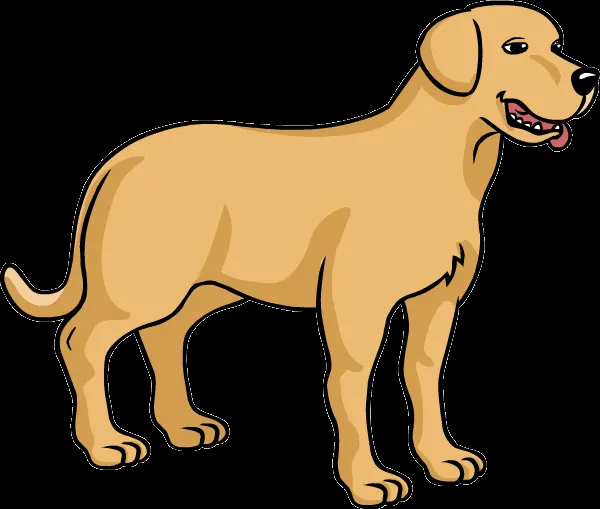 Imagenes perro labrador png - Imagenes PNG