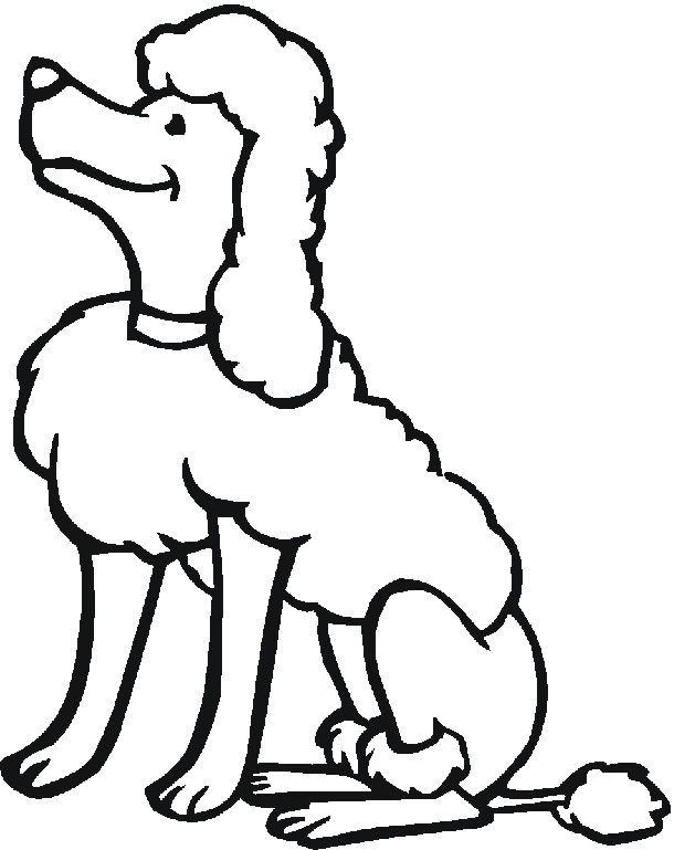 Imagenes de perros french poodle para colorear - Imagui