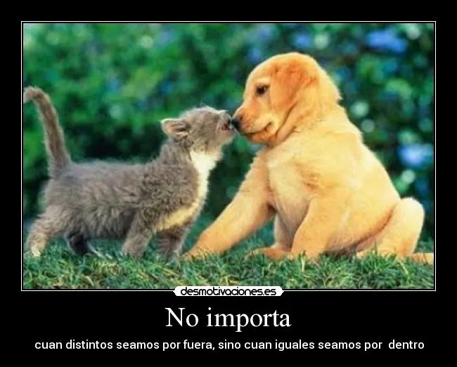 Carteles de Tiernos Pag. 16 | Desmotivaciones