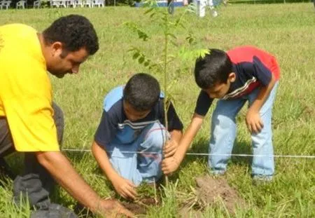 Niños sembrando arboles animados - Imagui