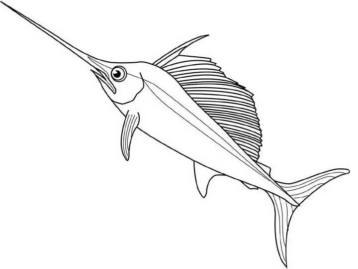 Pez espada dibujos para colorear - Imagui