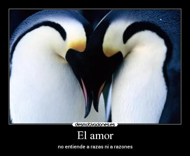 El amor | Desmotivaciones