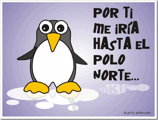 Imagenes de pinguinos con frases de amor - Imagui Imagenes de pinguinos con frases de amor - Imagui