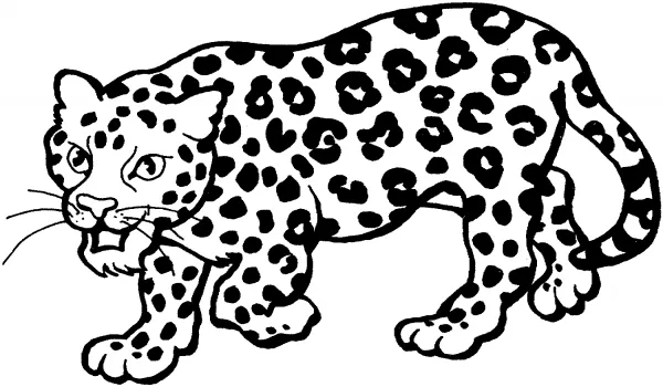 Imágenes para pintar de leopardos | Colorear imágenes Imágenes para pintar de leopardos | Colorear imágenes
