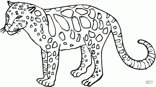 Imágenes para pintar de leopardos | Colorear imágenes Imágenes para pintar de leopardos | Colorear imágenes