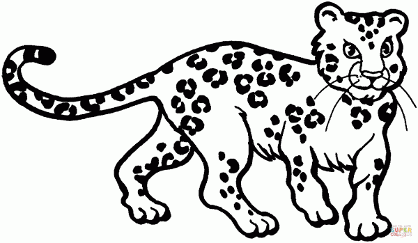 Imágenes para pintar de leopardos | Colorear imágenes Imágenes para pintar de leopardos | Colorear imágenes