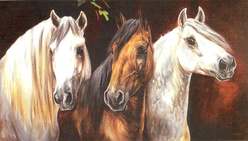 Imágenes de Pinturas: Cabezas de caballos al óleo Imágenes de Pinturas: Cabezas de caballos al óleo