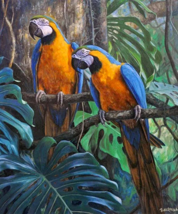 Imágenes de Pinturas: Pinturas al óleo animales exóticos Imágenes de Pinturas: Pinturas al óleo animales exóticos