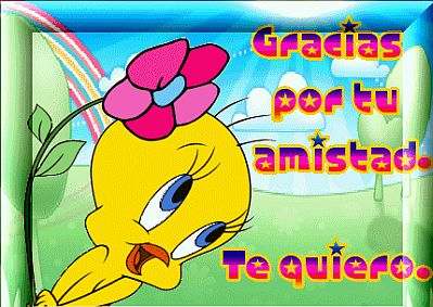 imagenes de piolin con frases de amor - Imagenes de amor