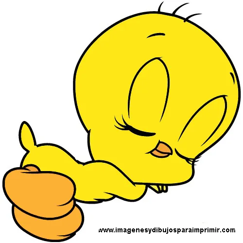 Imagenes de piolin-Imagenes y dibujos para imprimir Imagenes de piolin-Imagenes y dibujos para imprimir