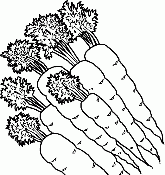 Imagenes de la planta de platano para dibujar - Imagui Imagenes de la planta de platano para dibujar - Imagui