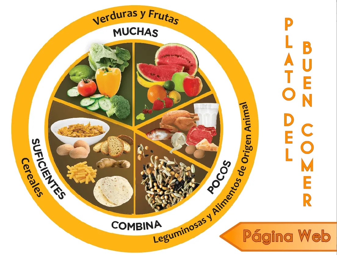Imágenes del plato del buen comer para imprimir | Imágenes Imágenes del plato del buen comer para imprimir | Imágenes