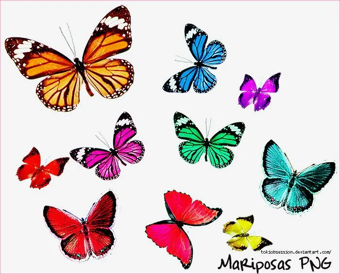 Imagenes png de mariposas - Imagui