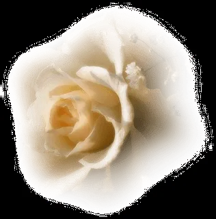 Imágenes png y mucho más: paisajes y flores png Imágenes png y mucho más: paisajes y flores png