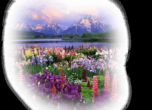 paisajes y flores png | Imágenes png y mucho más paisajes y flores png | Imágenes png y mucho más