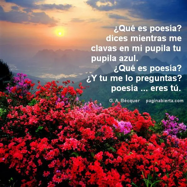Poesias bonitas - Imagui