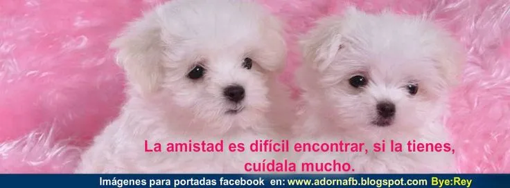 Imagenes Para Portada De Facebook Bonitas Biografias 2bpara 2b ...