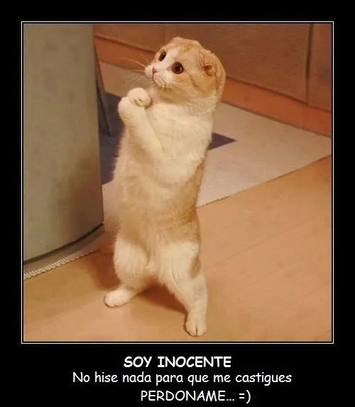 IMÁGENES | PORTADAS | FOTOS | FRASES | GRATIS | PARA FACEBOOK ... IMÁGENES | PORTADAS | FOTOS | FRASES | GRATIS | PARA FACEBOOK ...