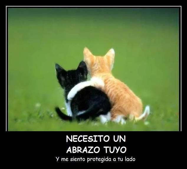 IMAGENES | PORTADAS | FOTOS | FRASES | GRATIS | PARA FACEBOOK ... IMAGENES | PORTADAS | FOTOS | FRASES | GRATIS | PARA FACEBOOK ...