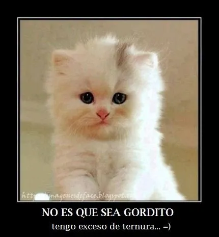 IMÁGENES | PORTADAS | FOTOS | FRASES | GRATIS | PARA FACEBOOK ... IMÁGENES | PORTADAS | FOTOS | FRASES | GRATIS | PARA FACEBOOK ...