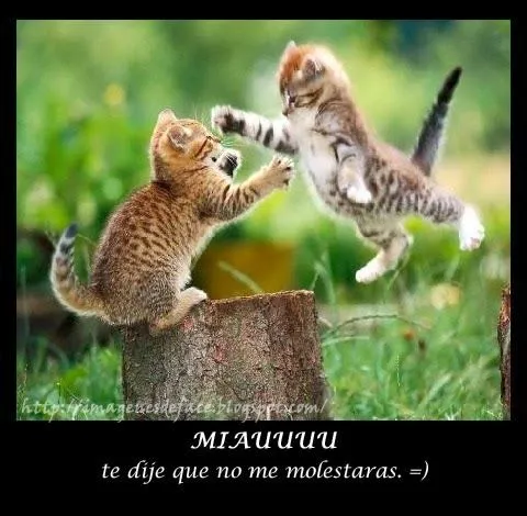 IMÁGENES | PORTADAS | FOTOS | FRASES | GRATIS | PARA FACEBOOK ... IMÁGENES | PORTADAS | FOTOS | FRASES | GRATIS | PARA FACEBOOK ...