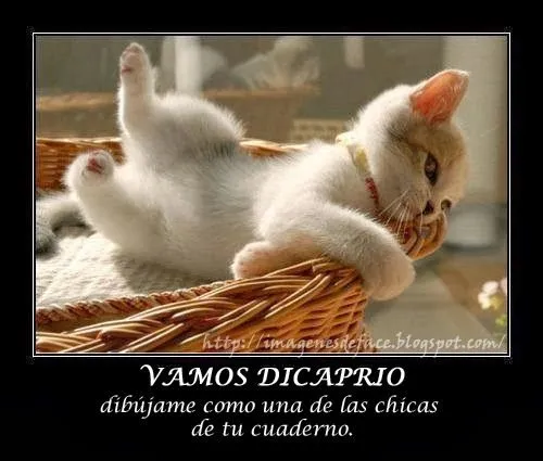 IMÁGENES | PORTADAS | FOTOS | FRASES | GRATIS | PARA FACEBOOK ... IMÁGENES | PORTADAS | FOTOS | FRASES | GRATIS | PARA FACEBOOK ...