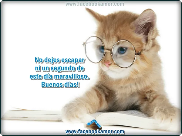 Imagenes • Postales chistosas de buenos dias Imagenes • Postales chistosas de buenos dias