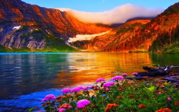 imagenes de la primavera para fondo de pantalla - Buscar con ... imagenes de la primavera para fondo de pantalla - Buscar con ...