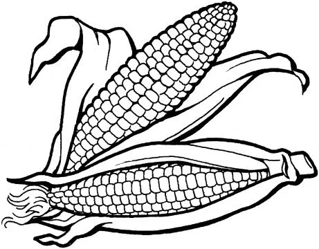 Imagenes de la produccion agricola para colorear - Imagui