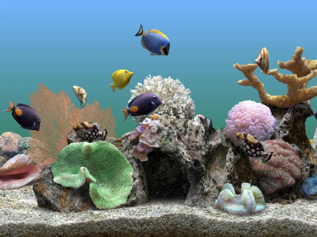 Protectores de pantalla para PC gratis - Imagui