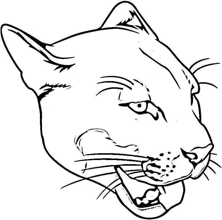 Pumas animados para colorear - Imagui
