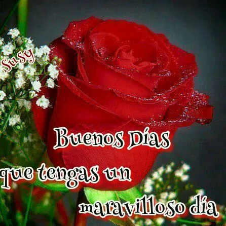 imagenes buenos dias buenas tardes buenas noches detalles de amor ... imagenes buenos dias buenas tardes buenas noches detalles de amor ...