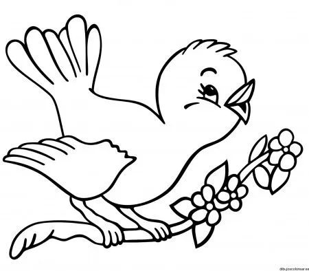 Dibujo de un pájaro en una rama con flores | Dibujos para Colorear Dibujo de un pájaro en una rama con flores | Dibujos para Colorear