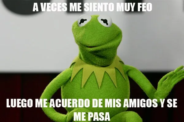 Imágenes de la rana rene con frases | Descargar imágenes gratis