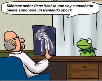 Imagenes de ranas graciosas - Imagui