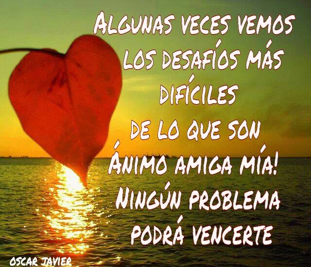 Reflexiones para una amiga, Banco de Imagenes Gratis