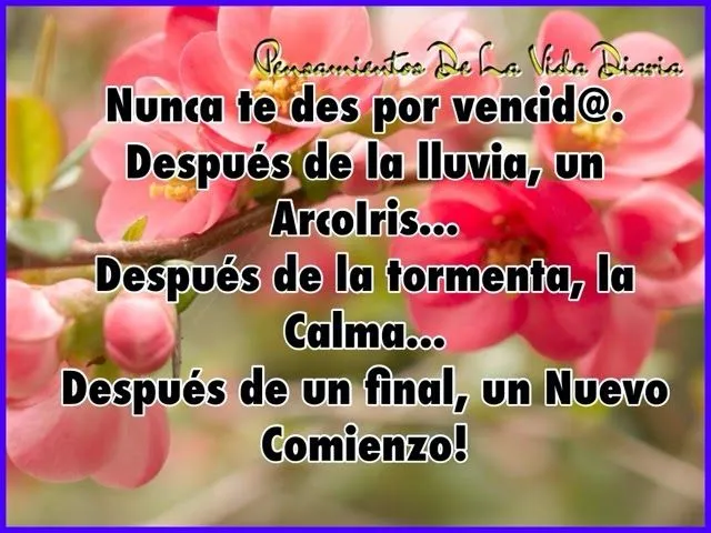 Imagenes de reflexiones sobre la vida diaria - Imagui Imagenes de reflexiones sobre la vida diaria - Imagui