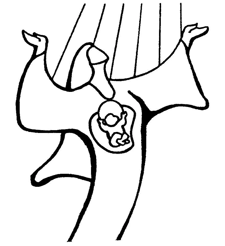 IMAGENES RELIGIOSAS PARA PINTAR - Imagui