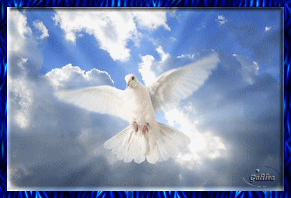 IMAGENES RELIGIOSAS: ESPIRITU SANTO