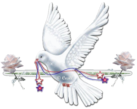 IMAGENES RELIGIOSAS: ESPIRITU SANTO