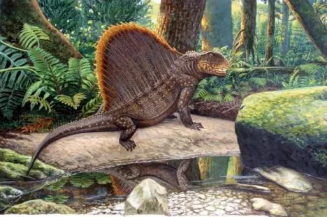 Para gustos, reptiles. - Paperblog