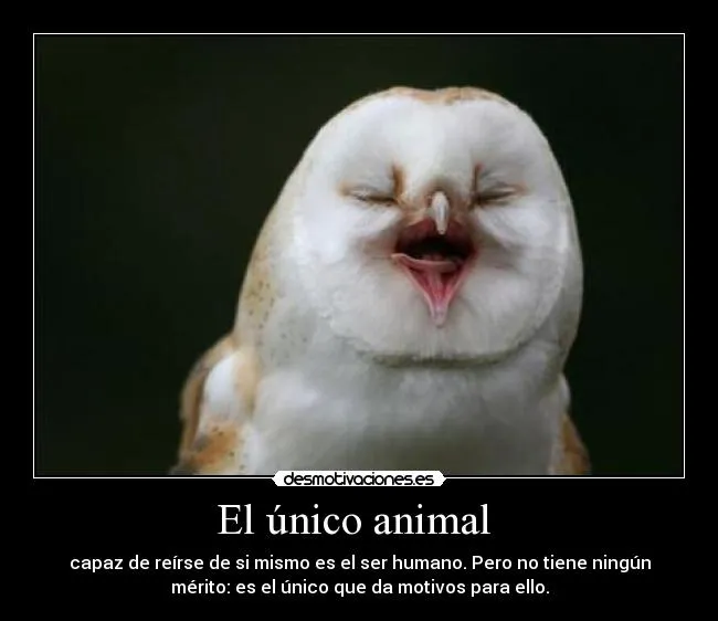 El único animal | Desmotivaciones