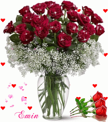 Imágenes románticas de rosas rojas de amor con movimiento y brillo Imágenes románticas de rosas rojas de amor con movimiento y brillo