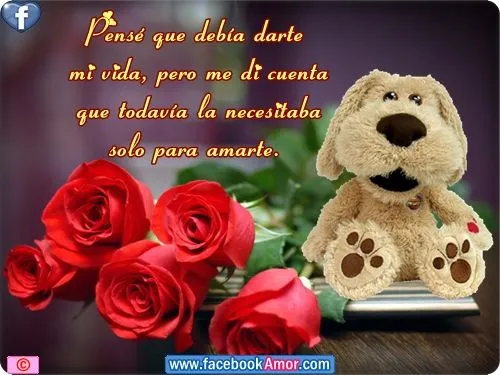 Imagenes de rosa rojas con frase de amor - Imágenes Bonitas para ...