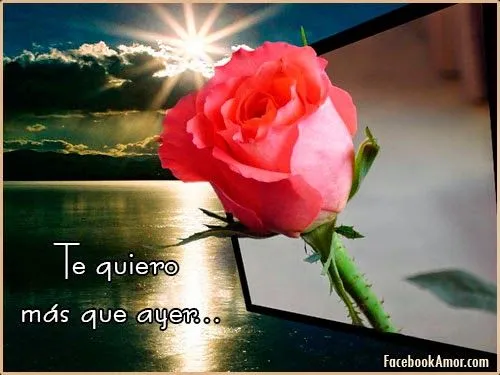 Imagenes de rosa rojas con frase de amor - Imágenes Bonitas para ...