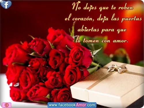 Imagenes de rosa rojas con frase de amor - Imágenes Bonitas para ...