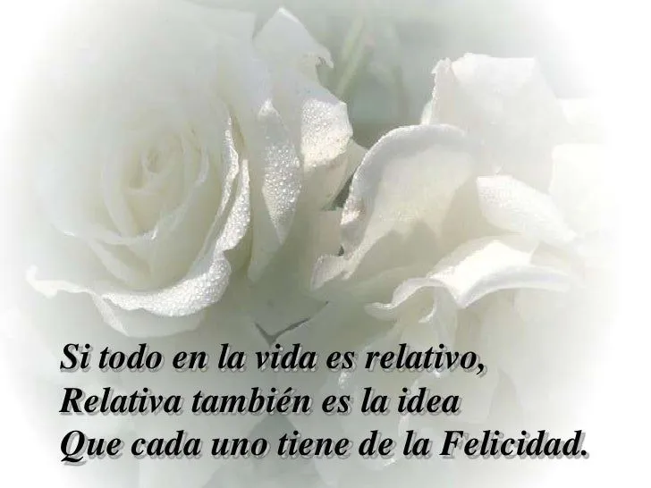 Imagenes de rosas blancas con frases de amistad - Imagui Imagenes de rosas blancas con frases de amistad - Imagui