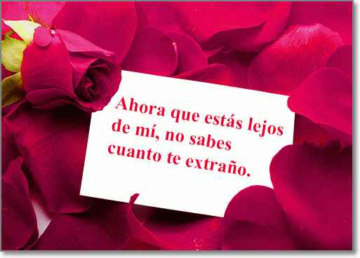 imagenes de rosas con frases de amor - Imagenes de amor